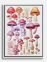 Colorful Woodland Mushrooms Canvas Print White