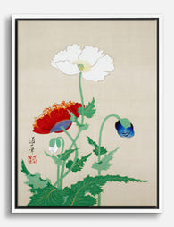 Poppies in Bloom by Sakai Doitsu Canvas Print White