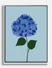 Hydrangea Canvas Prints