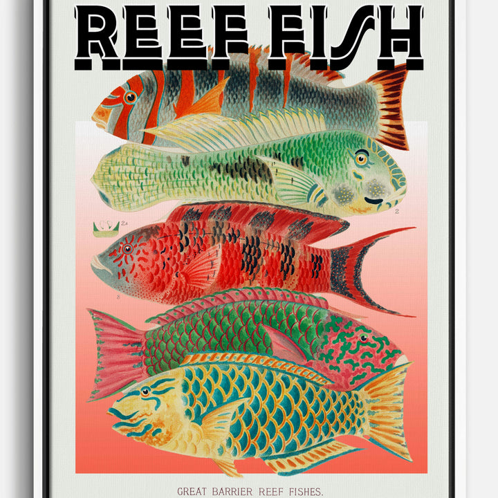 Australia Canvas Prints