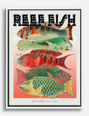 Lienzos de Australia