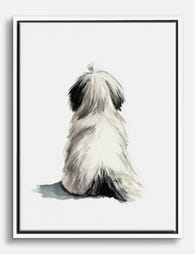 Shih Tzu from Behind Canvas Print White