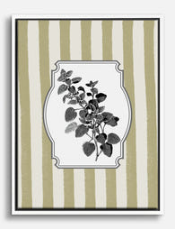 Oregano Botanical Charm Canvas Print White