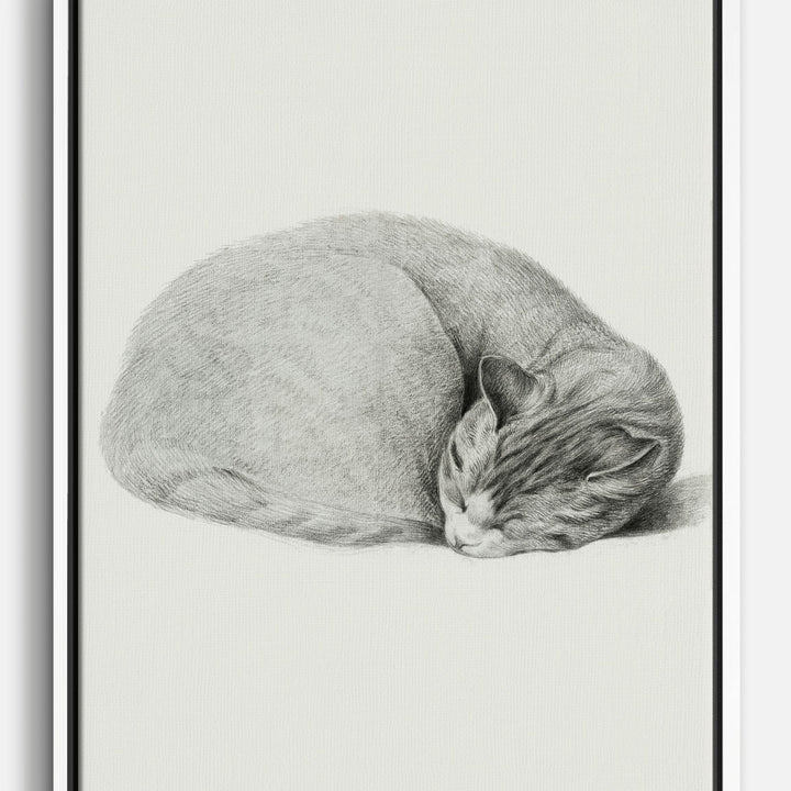 Jean Bernard Katzen-Leinwandbilder