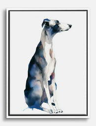 Blue Whippet Elegance Canvas Print White