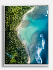 Jungle Canvas Prints