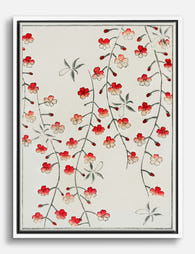 Sakura Cascade by Shin Bijutsuka Canvas Print White
