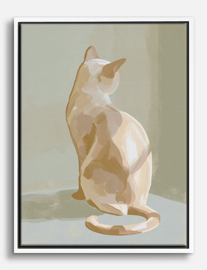 Serene Cat in Soft Light Canvas Print White