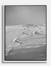 Photorealism Canvas Prints
