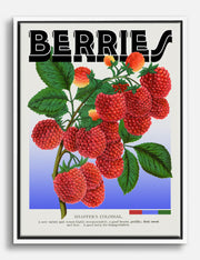 Lienzos de frutos del bosque