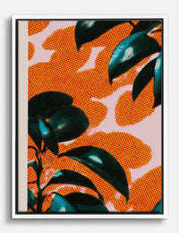 Halftone Rubber Plant in Orange Canvas Print White
